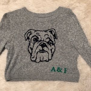 Abercrombie & Fitch crop bulldog  sweater